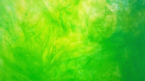 Absztrakt színes felhő a tinta a víz. Sárga-zöld festék a víz mozgása. Háttér, akril festék, a víz. A festék feloldódik a vízben — Stock videók