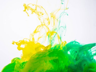 Sarı-yeşil akrilik sıçrama içinde sıvı beyaz zemin üzerine kapatın. İki mürekkep renkleri soyut bir akrilik sıçrama yaparken fotoğraflandı. Akrilik ipeksi bulut su renk.