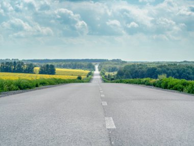 Boş asfalt yol ve peyzaj sarı alanlar ve yaz yeşil ağaçları. Bulutlu gökyüzü büyük beyaz kümülüs ile kaplı. Yeşil bush her yol kenarında. Arka plan bulanık. Yumuşak seçici odak.