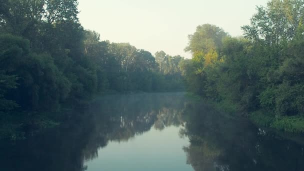 Landskap av floden på morgonen. Naturen sammansättning. Floden och sommaren skog. Solljus på toppen av stora gröna träd. Dimma på floden. Himlen och träden speglar sig i vattenytan. — Stockvideo