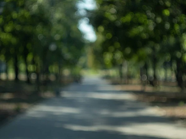 City park, blurred view of the alley. Defocused image of summer garden with effect of bokeh. Blur effect on abstract green background with trees, sky and road.