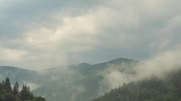 Timelapse. Σύννεφα που ρέει γύρω από τους λόφους της οροσειράς. Ακραία διάνοια. Καρπάθια Όρη, Δυτική Ουκρανία. Πλαγιές καλύπτονται με καταπράσινο δάσος. Τοπίο της φύσης. Θολή φόντο. — Αρχείο Βίντεο