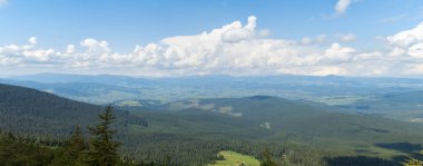 Yaz, Batı Ukrayna, Karpatlar dağlar. Doğa panoramik manzara. Dağ yeşil yoğun orman köknar ve çam ağaçları ile kaplı. Mavi gökyüzü ufukta beyaz bulutlar ile. Arka plan bulanık.