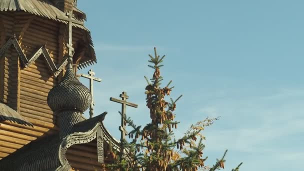 Cúpula de mosteiro com cruzes e entalhes decorativos de madeira, leste da Ucrânia. Tiro médio. Topo de abeto cheio de cones castanhos. Céu azul claro. Ramo de árvore balançando ao vento. Fundo desfocado . — Vídeo de Stock