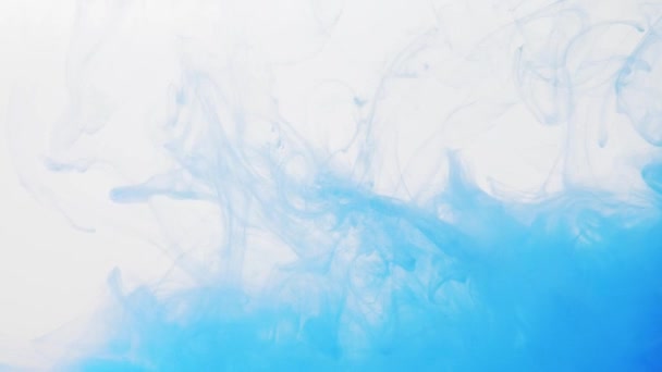 Peinture acrylique bleue se dissolvant dans une eau, plan rapproché. Fond flou. Nuages acryliques abstraits se déplaçant lentement dans le liquide. Encre bleue dans l'eau. Modèle abstrait de peinture disparaissant dans l'eau . — Video