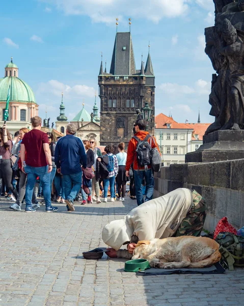 Praga, Republika Czeska-kwiecień 2019: żebrak z psem prosi o jałmużny turystów na Moście Karola. Żebrak pochylić się na kolana. Pies śpi na mostku. Turyści chodzą na moście. — Zdjęcie stockowe