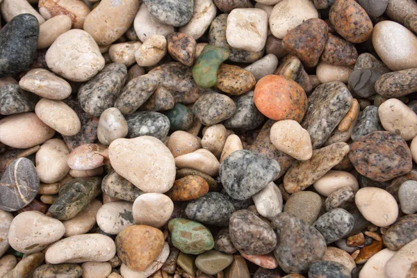 Seashore with gravel stone in summer, close up view. Texture of jackstone. Multicolour pebbles, abstract background.