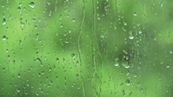 雨滴滴在窗玻璃上，近距离射击。绿色抽象背景。室外的绿地透过窗户玻璃在雨中。模糊背景。玻璃上的夏天下雨。选择性软焦. — 图库视频影像