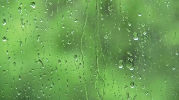 Gotas de lluvia goteando por el cristal de la ventana, tiro cerrado. Fondo abstracto verde. Greenth al aire libre bajo la lluvia a través del cristal de la ventana. Fondo borroso. Lluvia de verano sobre vidrio. Enfoque suave selectivo . — Vídeo de stock