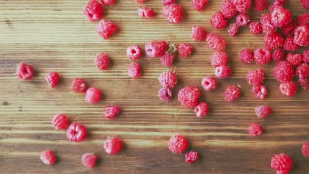 Garść czerwonych ruspberries rzucając na stole, Zamknij strzał. Tekstura drewnianego stołu. Garść świeżych, dojrzałych maliny ułożone na brązowym biurku. Owoce jagodowe tło. — Wideo stockowe