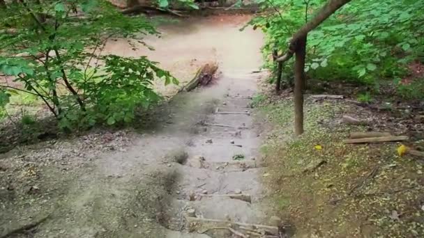 Walking down along the stairs, footpath in the mountains. First-person movement, focus from person view. Chalk mountain path, middle plan. Moving camera with effects of steps — Stock Video