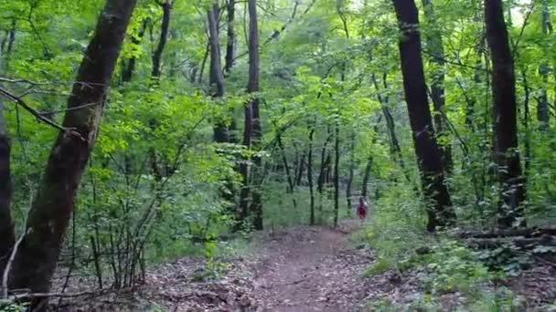 Projděte se po stezce v horském lese. Dívka s batohu zmizí za rohem. Letní opadavý les. Pohyblivá kamera s následkům kroků. Zaměření z pohledu osoby. — Stock video