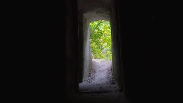 Exit from the dark cave in the mountain. Movement along the narrow aisle to the exit. View of summer deciduous forest from the mountain. Focus from person view. Moving camera with effects of steps — Stock Video