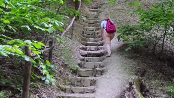 Flicka med en röd ryggsäck uppför Bergs trappan. Sommar lövskog. Stegen skärs in i berget och förstärks med rekvisita. Fokus från personvy. Flytta kameran med effekter av steg — Stockvideo