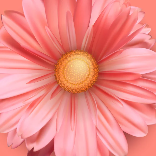 Blossoming bud of flower close up. Pink flower bud. Vector 3D illustration