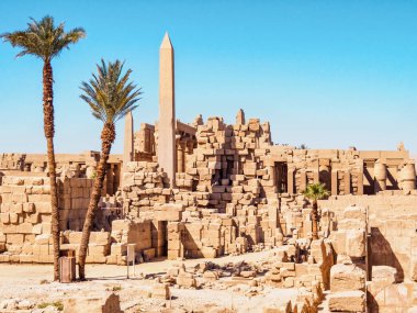Karnak tapınağının eski kalıntıları arasında yeşil palmiye ağaçları, uzun görüş. Luxor, Mısır 'da çekilmiş. Seçici yumuşak odaklanma. Bulanık arkaplan.