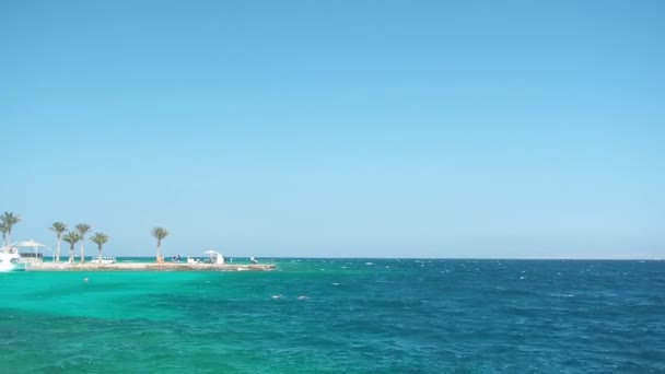 Paisaje marino de costa egipcia, tiro ancho extremo. Turistas haciendo snorkel en superficie. Palmeras verdes bajo cielo azul claro. Fotografiado en Hurghada en febrero. Enfoque suave selectivo. Fondo borroso . — Vídeos de Stock