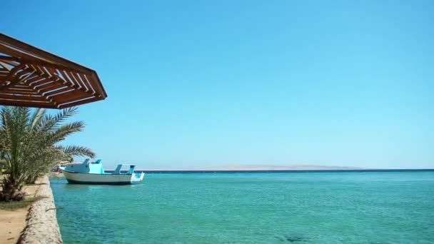Barco turístico atado a un muelle, tiro ancho extremo. Palmera verde cerca de sombrilla de playa. Cielo azul despejado. Fotografiado en Egipto en febrero. Enfoque suave selectivo. Fondo borroso . — Vídeos de Stock