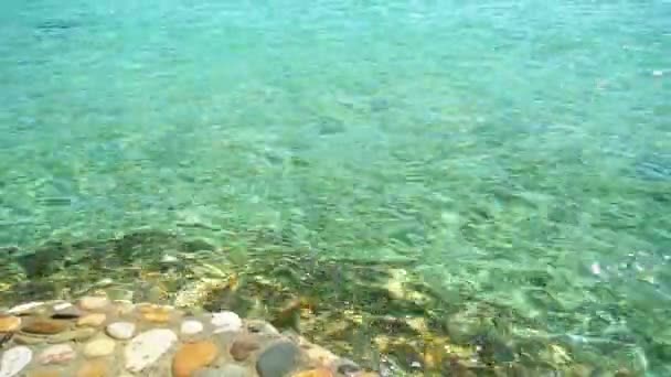Escombros marinos y superficie de agua ondulante, disparo de cerca. Fondo abstracto de la naturaleza. Fotografiado en Hurghada, Mar Rojo. Enfoque suave selectivo. Fondo borroso . — Vídeos de Stock