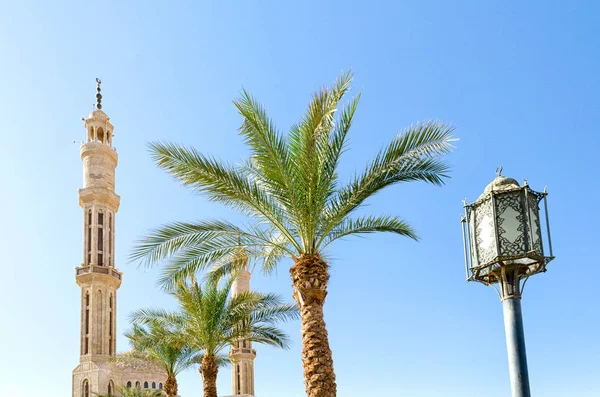 Lanterna rua iluminação duas palmas data dois minaretes do mosqu — Fotografia de Stock