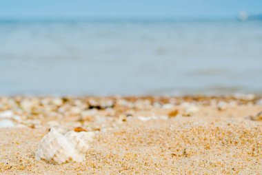 Kuvars kum mavi deniz ve gemi silueti ufukta karşı eğri kabuğunda