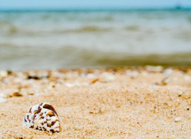 Kuvars kum mavi su ve geminin siluet ufukta karşı parlak deniz kabuğunda kavisli