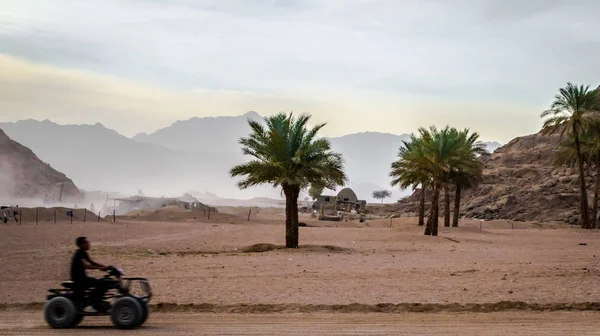 Homme Monte Sur Vtt Sur Fond Désert Les Montagnes Sharm — Photo