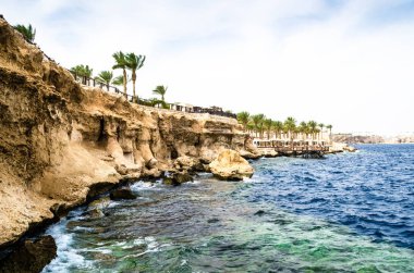 Bir kayalık plaj ve Kızıldeniz kıyısında bir resif için denizden görüntüleyin