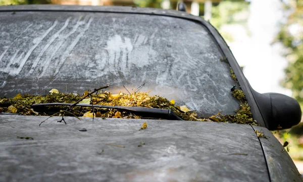 Smutsiga Vindrutan Övergiven Bil Täckt Med Lämnar — Stockfoto