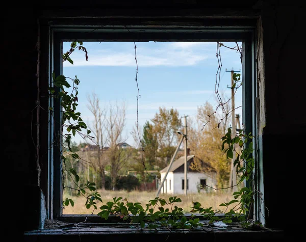 view from the window of a rustic house with trees and a blue sky with clouds