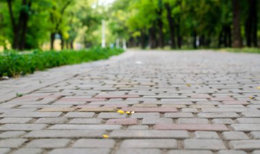 geçit parkta bir çini ile yakın çekim