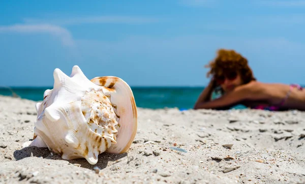 Grande conchiglia oceano sulla sabbia sullo sfondo di una ragazza rossa prendere il sole sulla spiaggia — Foto Stock