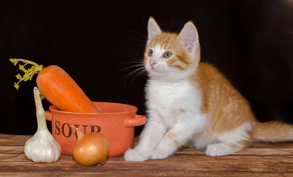 Gatito Tabby Rojo Pequeño Está Sentado Las Tablas Madera Áspera —  Fotos de Stock