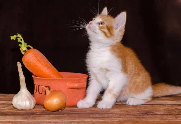 小さな赤とらの子猫は暗い背景に緑のトップ タマネギとニンニクの頭のスープとニンジンのオレンジ ボウルの横にあるテーブルの大まかな木の板に座っています — ストック写真