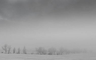 kış manzara kar zemin ve ağaç yaprakları sis olmadan