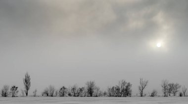 kış manzara kar zemin ve ağaç yaprakları karşı karanlık gökyüzü ve güneş olmadan