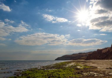 Güneş ve deniz yosunu ile deniz manzarası