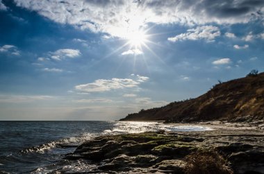 gün deniz manzarası deniz ve tumbleweed tarafından yıkanmış taşlarla