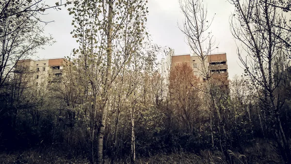 Maisons abandonnées parmi les arbres Tchernobyl Ukraine — Photo