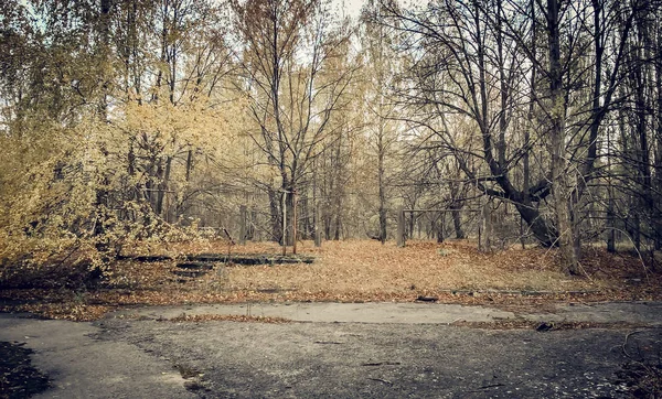Verlaten leeg verlaten park Chernobyl Oekraïne — Stockfoto