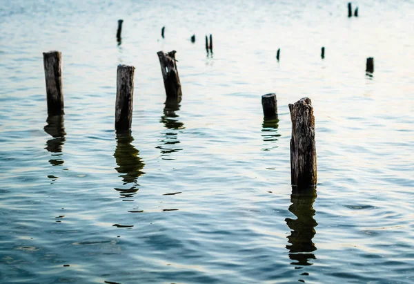 Wooden posts in blue water — Stock Photo, Image