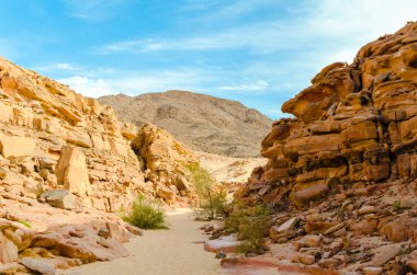 Mısır Dahab South Sinai'deki / daki yeşil bitkiler ile renkli Kanyon
