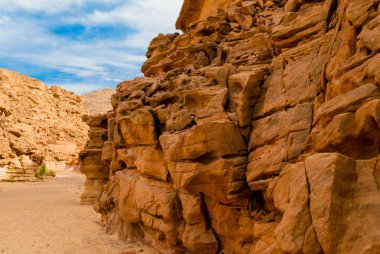 Mısır Dahab South Sinai'deki / daki yeşil bitkiler ile renkli Kanyon