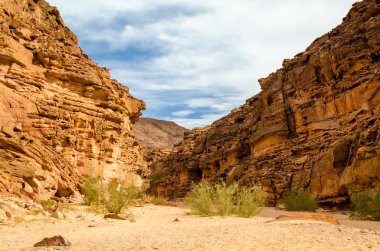 Mısır Dahab South Sinai'deki / daki yeşil bitkiler ile renkli Kanyon