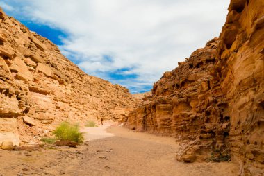 Mısır Dahab South Sinai'deki / daki yeşil bitkiler ile renkli Kanyon