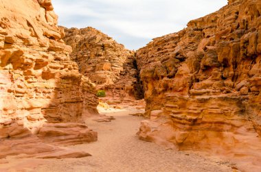 Mısır Dahab South Sinai'deki / daki yeşil bitkiler ile renkli Kanyon
