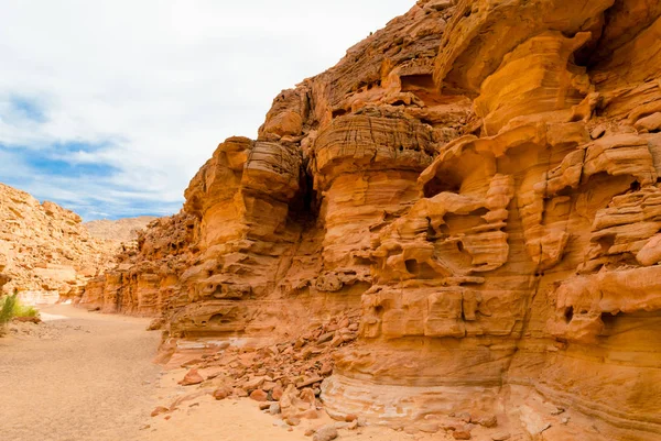 Mısır Dahab South Sinai'deki / daki yeşil bitkiler ile renkli Kanyon