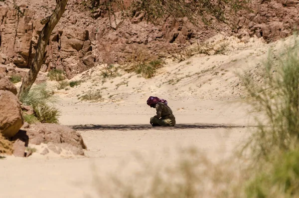 Beduíni se modlí, aby seděli na písku ve stínu stromu — Stock fotografie