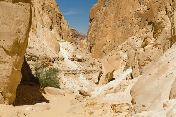 Високі скелясті гори в Каньйон в Єгипет Дахаб Південь Синай — стокове фото
