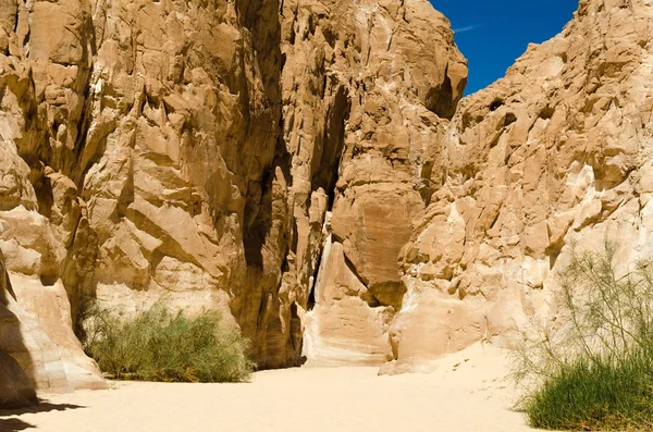 Пустеля Каньйон з кам'яними скелі і зелені рослини в Єгипті D — стокове фото